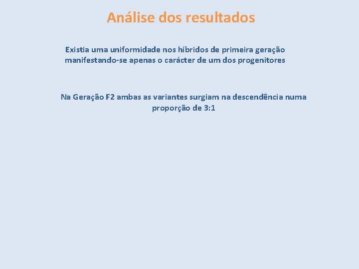 Análise dos resultados Existia uma uniformidade nos híbridos de primeira geração manifestando-se apenas o