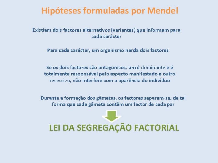 Hipóteses formuladas por Mendel Existiam dois factores alternativos (variantes) que informam para cada carácter