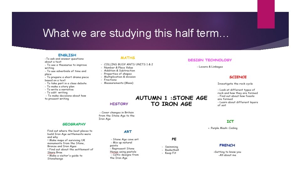 What we are studying this half term… 