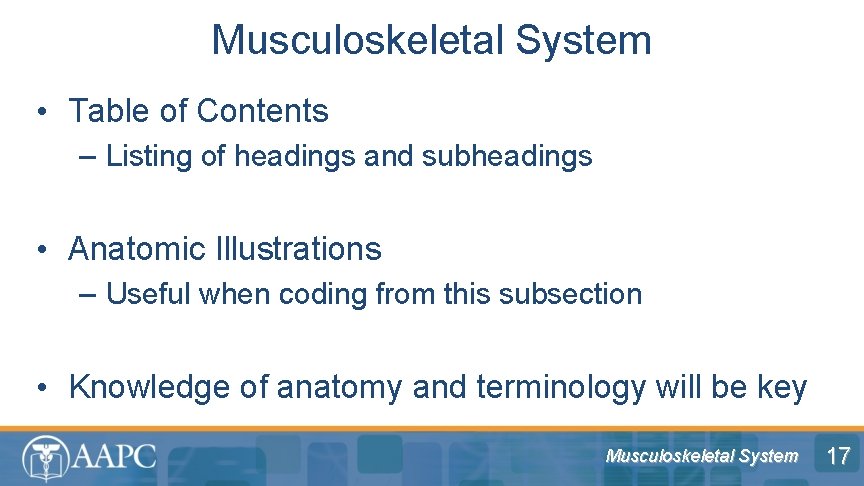 Musculoskeletal System • Table of Contents – Listing of headings and subheadings • Anatomic