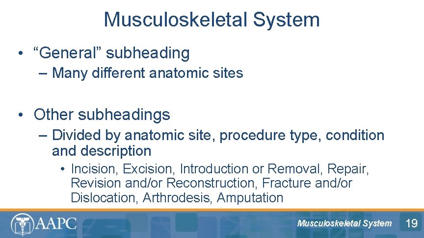 Musculoskeletal System • “General” subheading – Many different anatomic sites • Other subheadings –