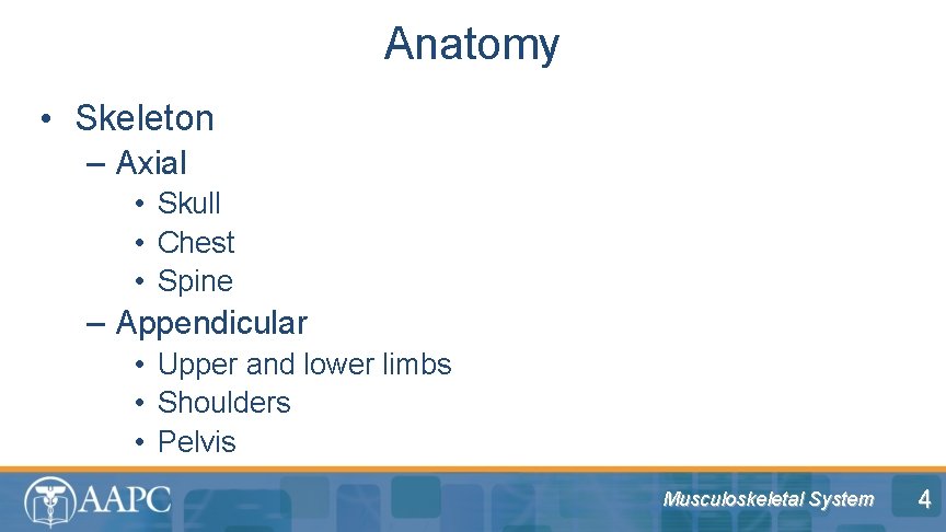 Anatomy • Skeleton – Axial • Skull • Chest • Spine – Appendicular •