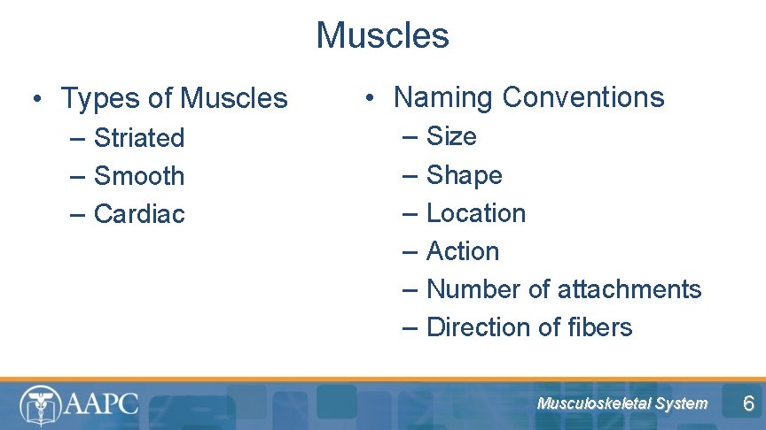 Muscles • Types of Muscles – Striated – Smooth – Cardiac • Naming Conventions