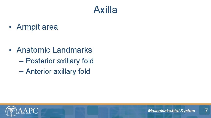 Axilla • Armpit area • Anatomic Landmarks – Posterior axillary fold – Anterior axillary