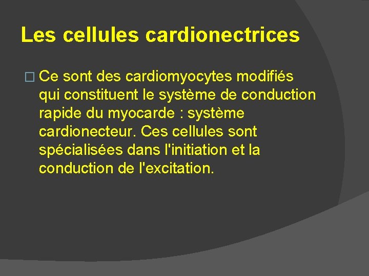Les cellules cardionectrices � Ce sont des cardiomyocytes modifiés qui constituent le système de Les cellules cardionectrices � Ce sont des cardiomyocytes modifiés qui constituent le système de
