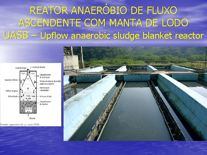 REATOR ANAERÓBIO DE FLUXO ASCENDENTE COM MANTA DE LODO UASB – Upflow anaerobic sludge