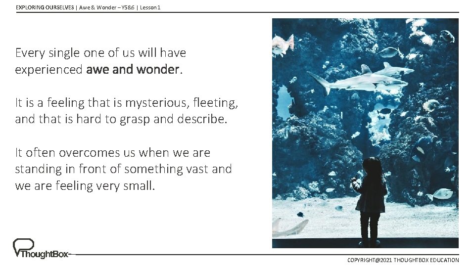 EXPLORING OURSELVES | Awe & Wonder – Y 5&6 | Lesson 1 Every single EXPLORING OURSELVES | Awe & Wonder – Y 5&6 | Lesson 1 Every single