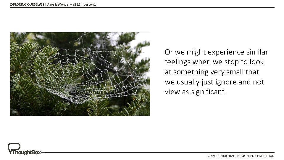 EXPLORING OURSELVES | Awe & Wonder – Y 5&6 | Lesson 1 Or we EXPLORING OURSELVES | Awe & Wonder – Y 5&6 | Lesson 1 Or we