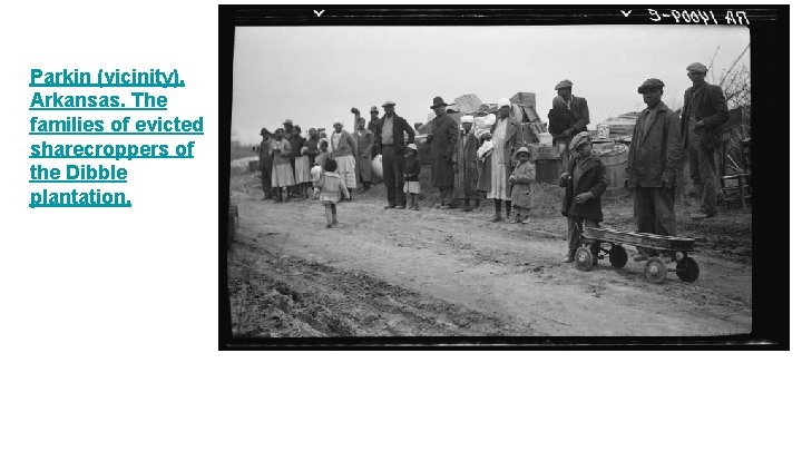 Parkin (vicinity), Arkansas. The families of evicted sharecroppers of the Dibble plantation. 