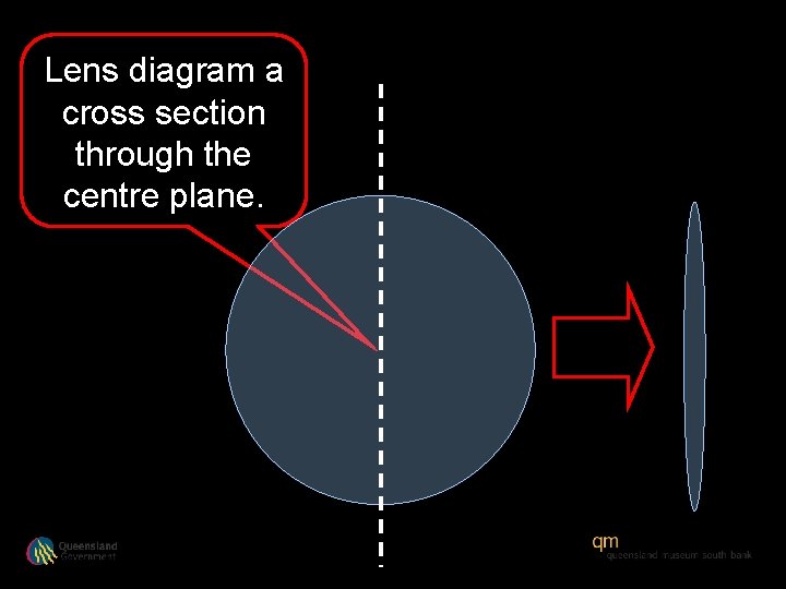 Lens diagram a cross section through the centre plane. 