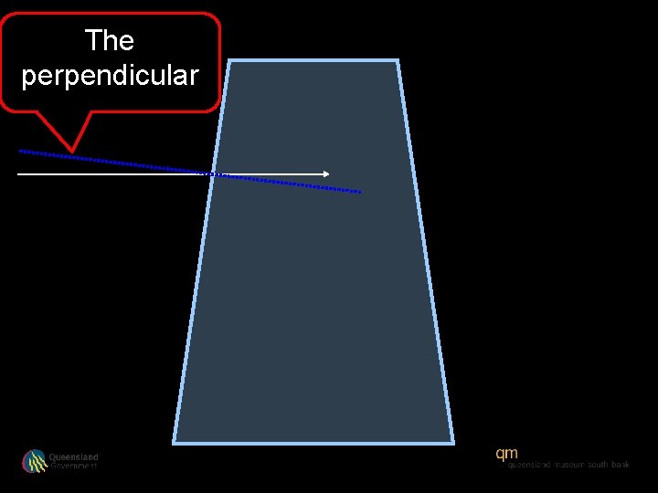 The perpendicular 