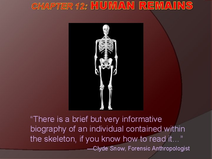 CHAPTER 12: HUMAN REMAINS “There is a brief but very informative biography of an