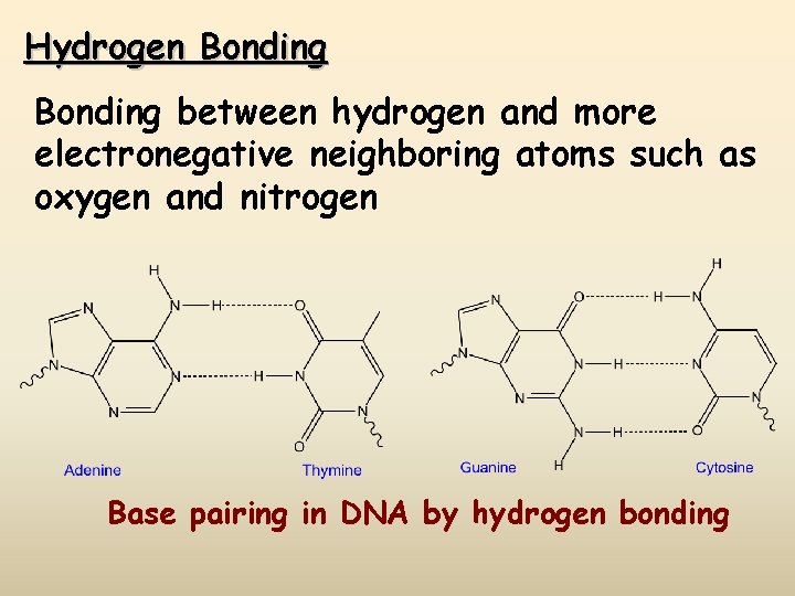 Hydrogen Bonding between hydrogen and more electronegative neighboring atoms such as oxygen and nitrogen