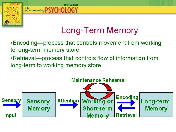 Long-Term Memory • Encoding—process that controls movement from working to long-term memory store •