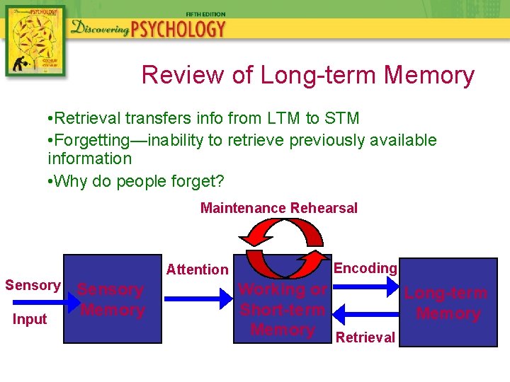 Review of Long-term Memory • Retrieval transfers info from LTM to STM • Forgetting—inability