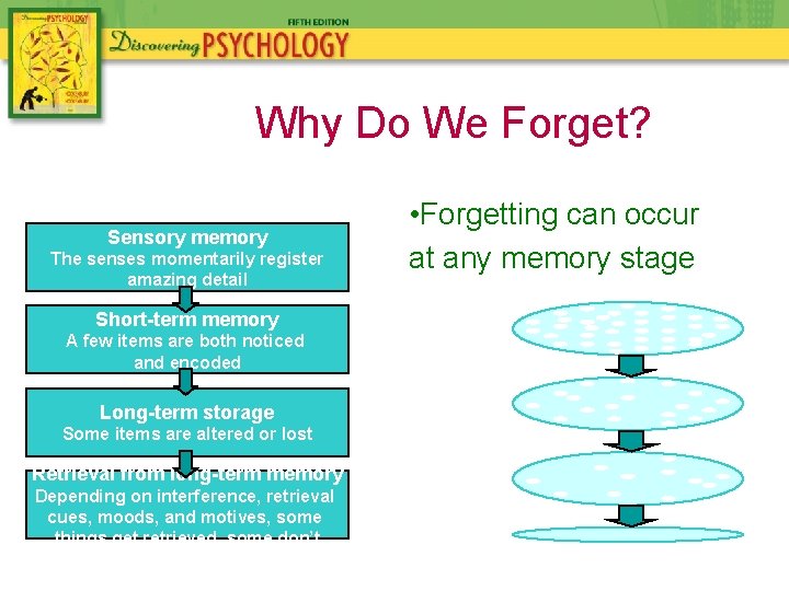 Why Do We Forget? Sensory memory The senses momentarily register amazing detail Short-term memory