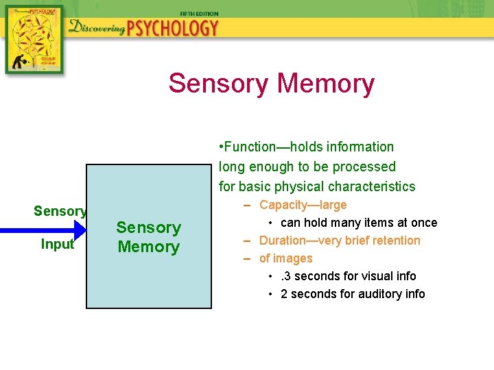 Sensory Memory • Function—holds information long enough to be processed for basic physical characteristics