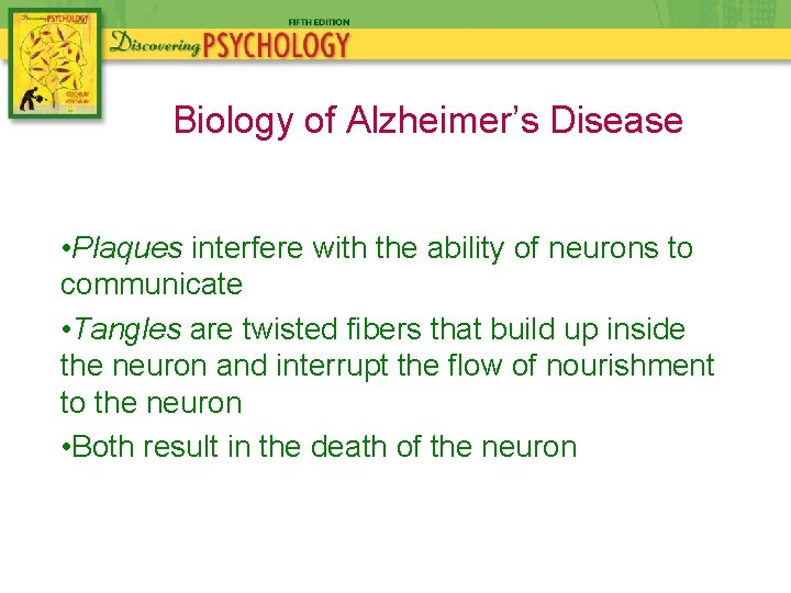 Biology of Alzheimer’s Disease • Plaques interfere with the ability of neurons to communicate