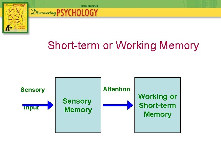 Short-term or Working Memory Attention Sensory Input Sensory Memory Working or Short-term Memory 