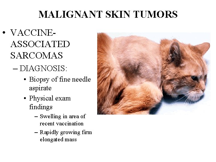 MALIGNANT SKIN TUMORS • VACCINEASSOCIATED SARCOMAS – DIAGNOSIS: • Biopsy of fine needle aspirate