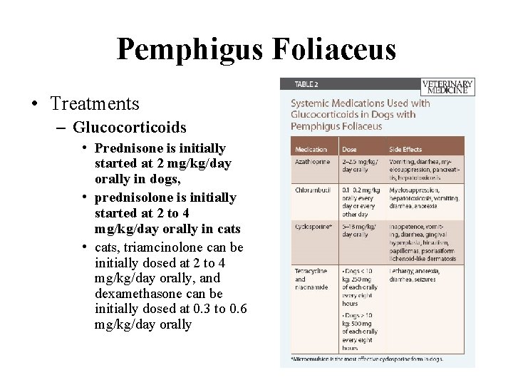 Pemphigus Foliaceus • Treatments – Glucocorticoids • Prednisone is initially started at 2 mg/kg/day