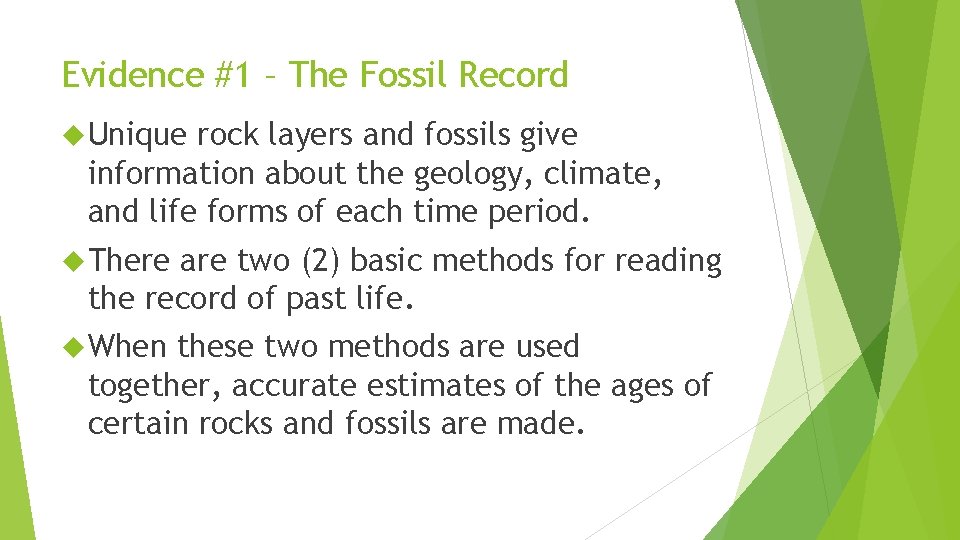 Evidence #1 – The Fossil Record Unique rock layers and fossils give information about