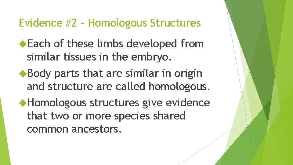 Evidence #2 – Homologous Structures Each of these limbs developed from similar tissues in