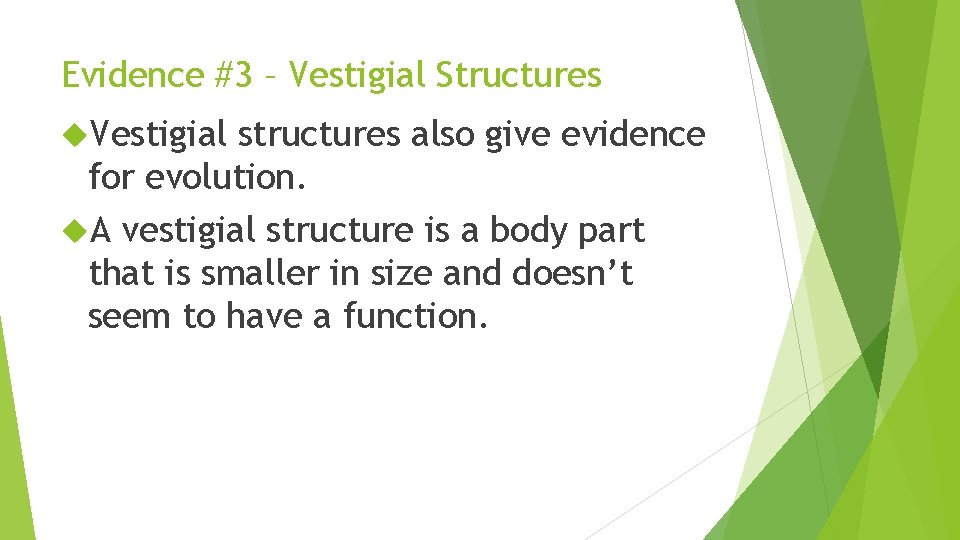 Evidence #3 – Vestigial Structures Vestigial structures also give evidence for evolution. A vestigial