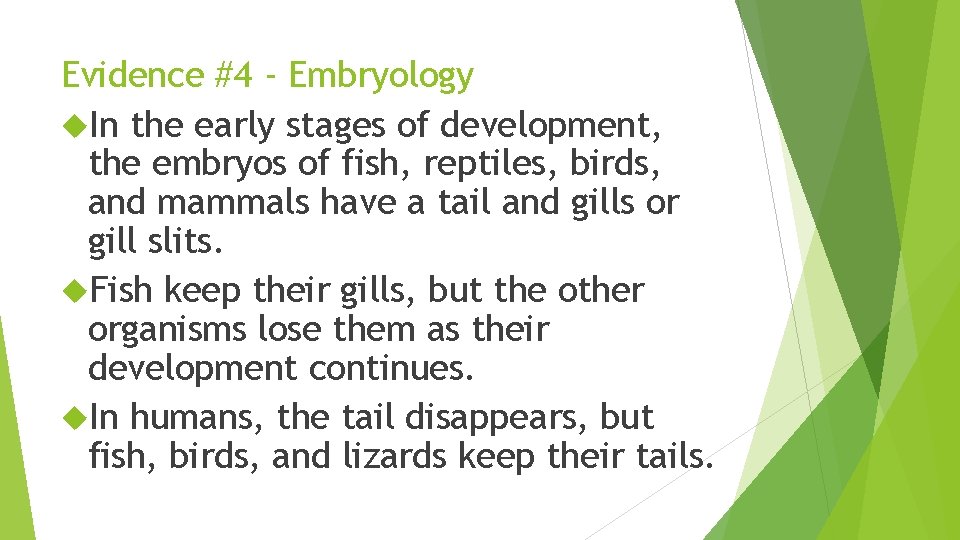 Evidence #4 - Embryology In the early stages of development, the embryos of fish,