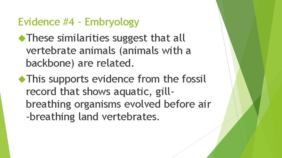 Evidence #4 - Embryology These similarities suggest that all vertebrate animals (animals with a