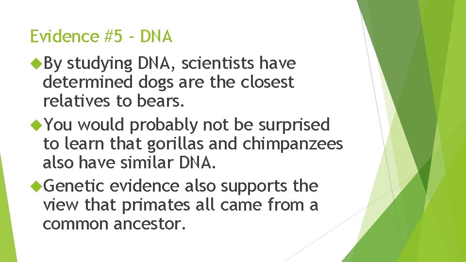 Evidence #5 - DNA By studying DNA, scientists have determined dogs are the closest