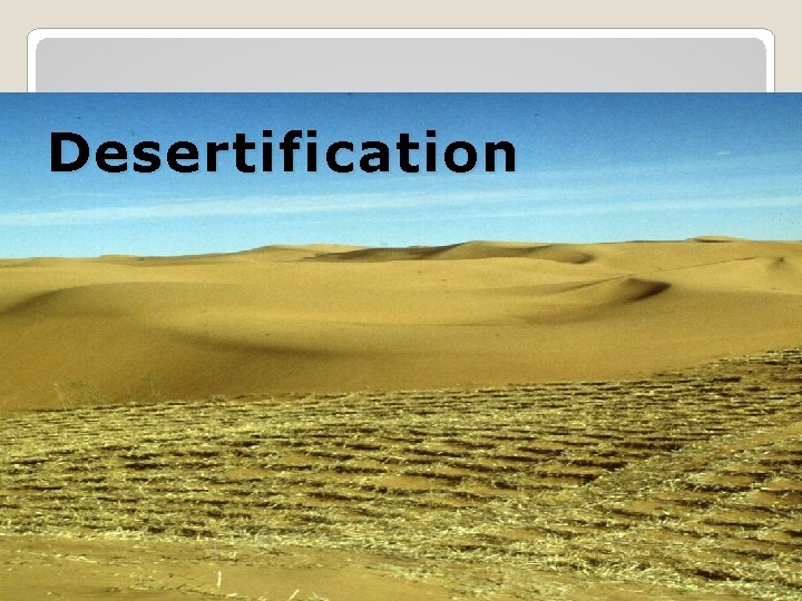 Desertification Máistir Ó Míocháin An Tíreolas 
