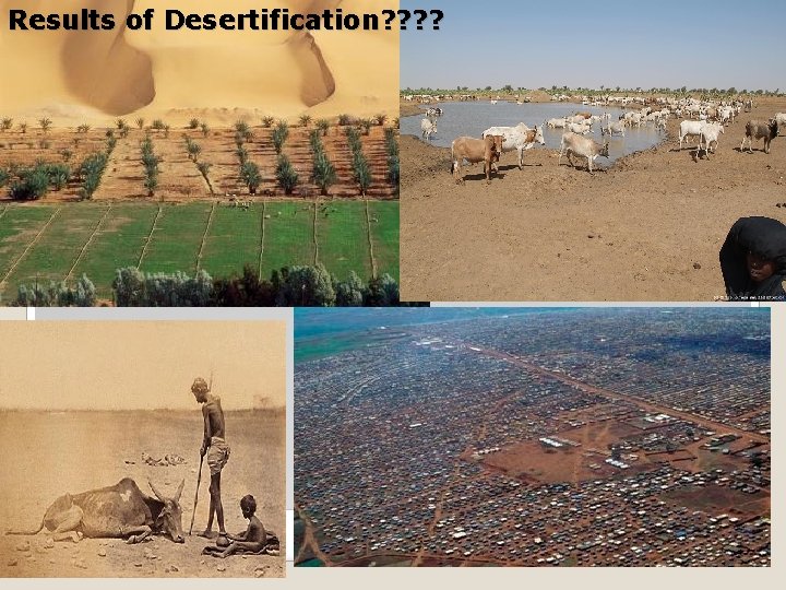 Results of Desertification? ? 