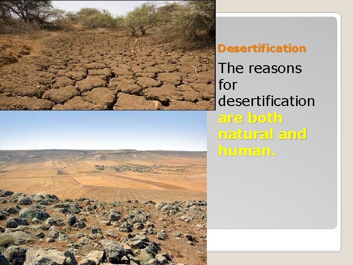 Desertification The reasons for desertification are both natural and human. 