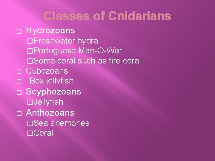 Classes of Cnidarians � Hydrozoans �Freshwater hydra �Portuguese Man-O-War �Some coral such as fire