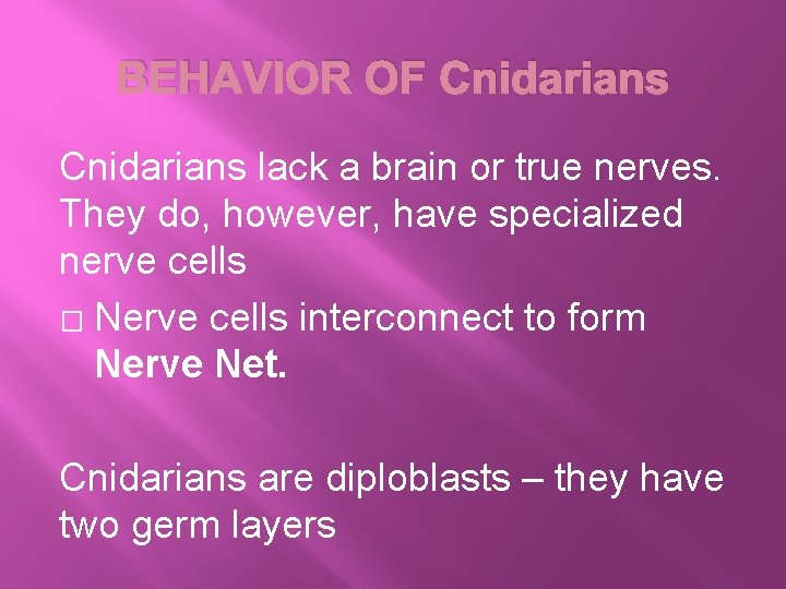 BEHAVIOR OF Cnidarians lack a brain or true nerves. They do, however, have specialized