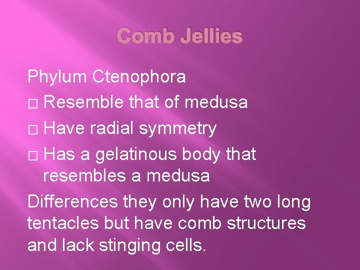 Comb Jellies Phylum Ctenophora � Resemble that of medusa � Have radial symmetry �