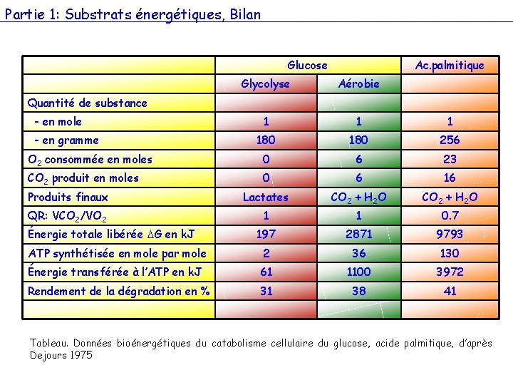 Partie 1: Substrats énergétiques, Bilan Glucose Ac. palmitique Glycolyse Aérobie 1 180 180 256