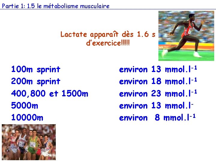 Partie 1: 1. 5 le métabolisme musculaire Lactate apparaît dès 1. 6 s d’exercice!!!!!