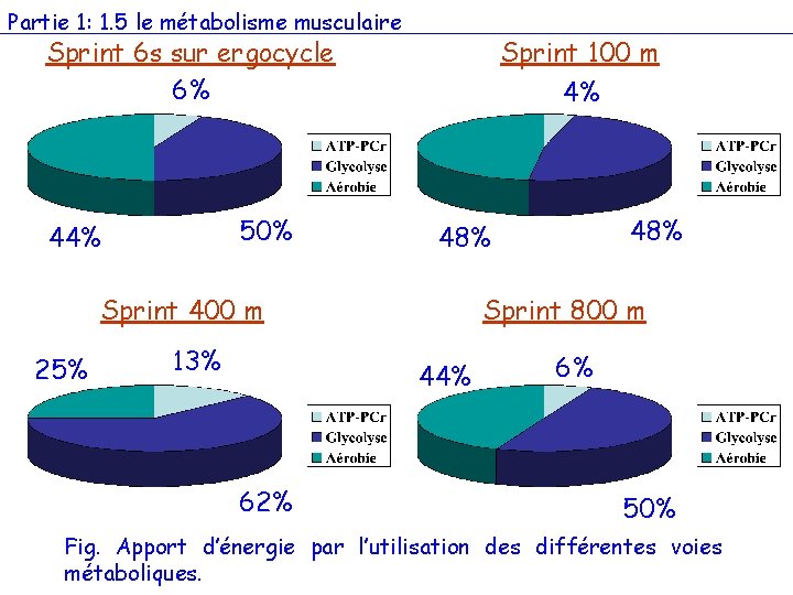 Partie 1: 1. 5 le métabolisme musculaire Sprint 6 s sur ergocycle 6% 50%