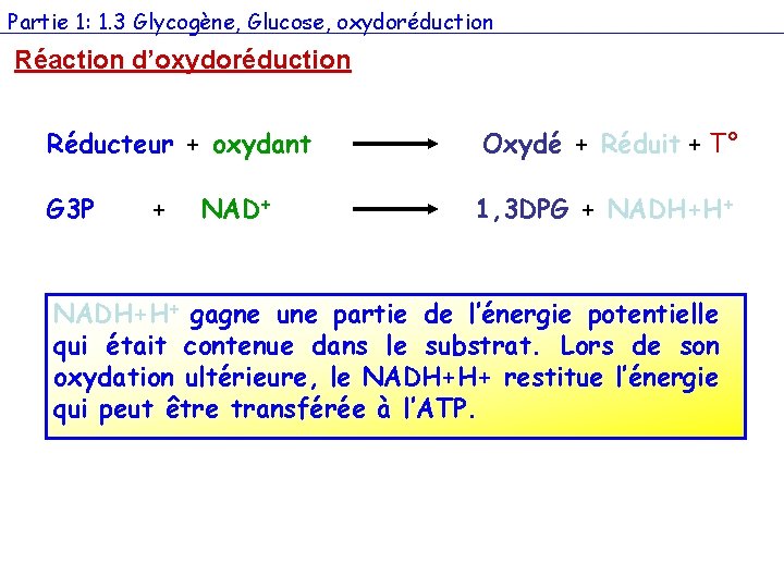 Partie 1: 1. 3 Glycogène, Glucose, oxydoréduction Réaction d’oxydoréduction Réducteur + oxydant Oxydé +