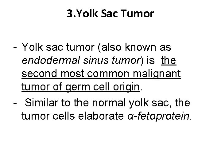 3. Yolk Sac Tumor - Yolk sac tumor (also known as endodermal sinus tumor)