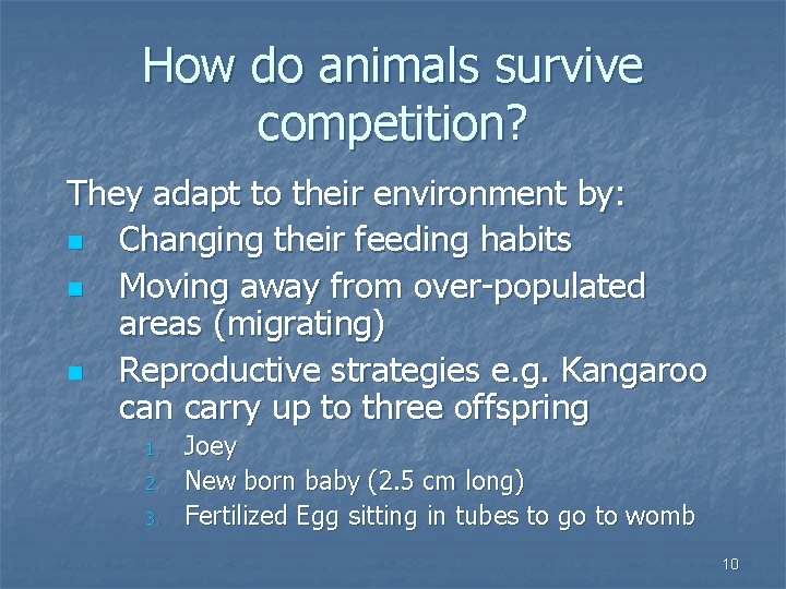 How do animals survive competition? They adapt to their environment by: n Changing their