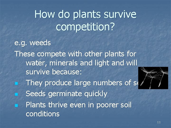 How do plants survive competition? e. g. weeds These compete with other plants for