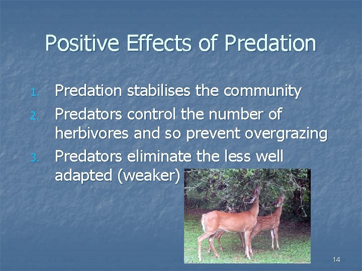 Positive Effects of Predation 1. 2. 3. Predation stabilises the community Predators control the