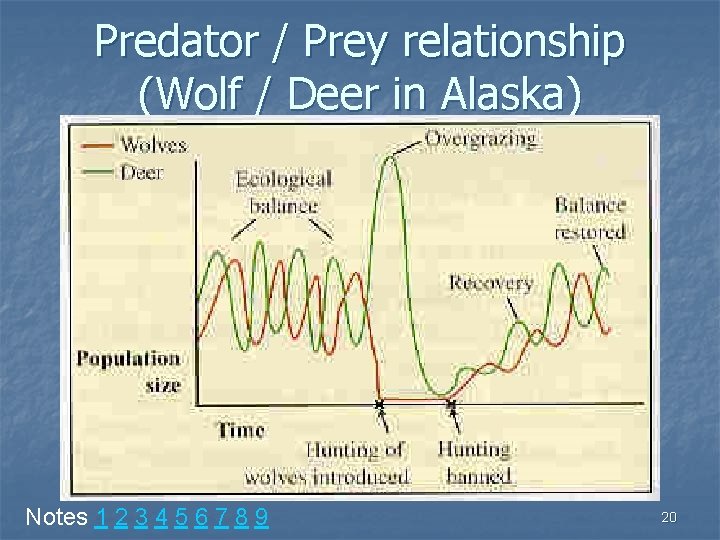 Predator / Prey relationship (Wolf / Deer in Alaska) Notes 1 2 3 4