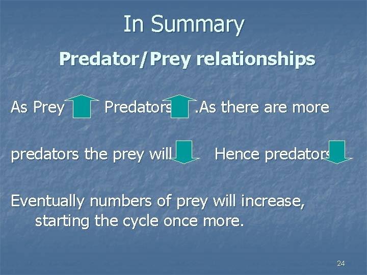 In Summary Predator/Prey relationships As Prey Predators . As there are more predators the