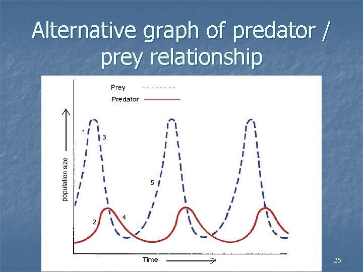 Alternative graph of predator / prey relationship 25 