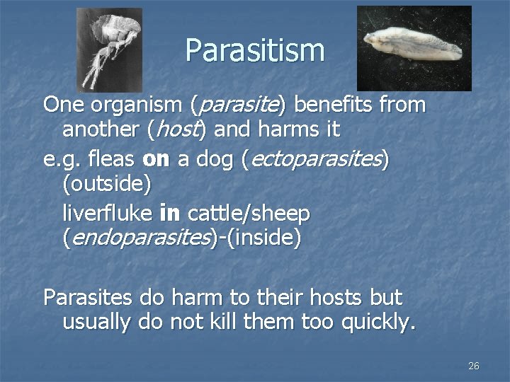 Parasitism One organism (parasite) benefits from another (host) and harms it e. g. fleas
