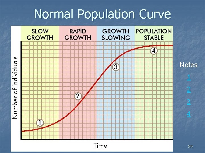 Normal Population Curve Notes 1 2 3 4 35 
